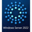 Microsoft Windows Server 2022 - License - 1 Device CAL