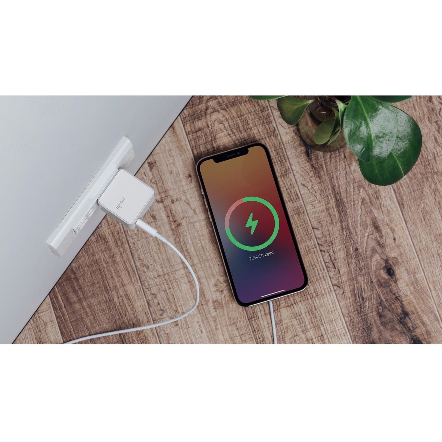 Moshi Qubit USB-C Charger (20 W) - White