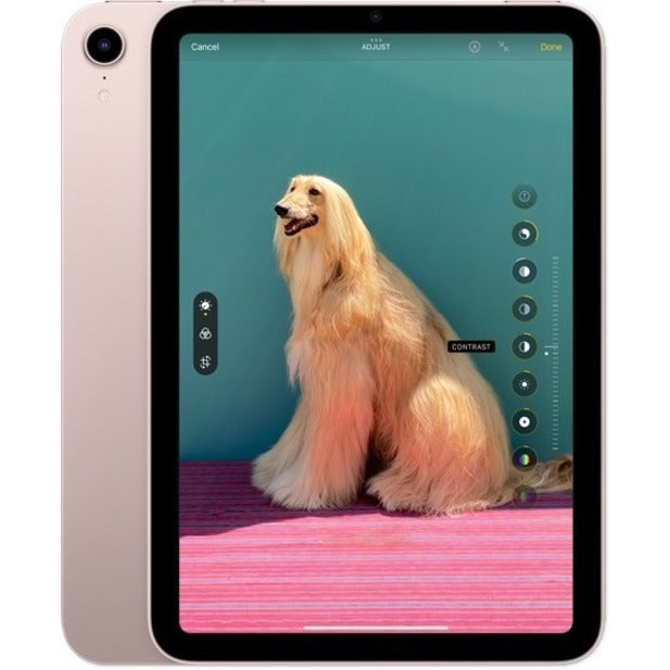 Apple iPad mini (6th Generation) A2567 Tablet - 8.3" - Hexa-core (A15 Bionic Dual-core (2 Core) 2.93 GHz Quad-core (4 Core)) - 4 GB RAM - 64 GB Storage - iPadOS 15 - Pink