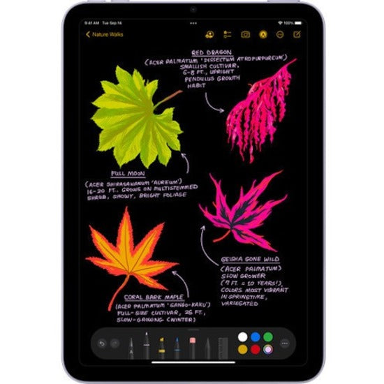 Apple iPad mini (6th Generation) A2568 Tablet - 8.3" - Hexa-core (A15 Bionic Dual-core (2 Core) 2.93 GHz Quad-core (4 Core)) - 4 GB RAM - 64 GB Storage - iPadOS 15 - 5G - Purple