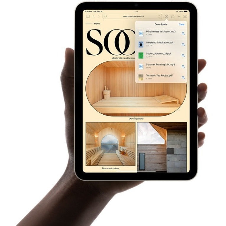 Apple iPad mini (6th Generation) A2567 Tablet - 8.3" - Hexa-core (A15 Bionic Dual-core (2 Core) 2.93 GHz Quad-core (4 Core)) - 4 GB RAM - 256 GB Storage - iPadOS 15 - Starlight