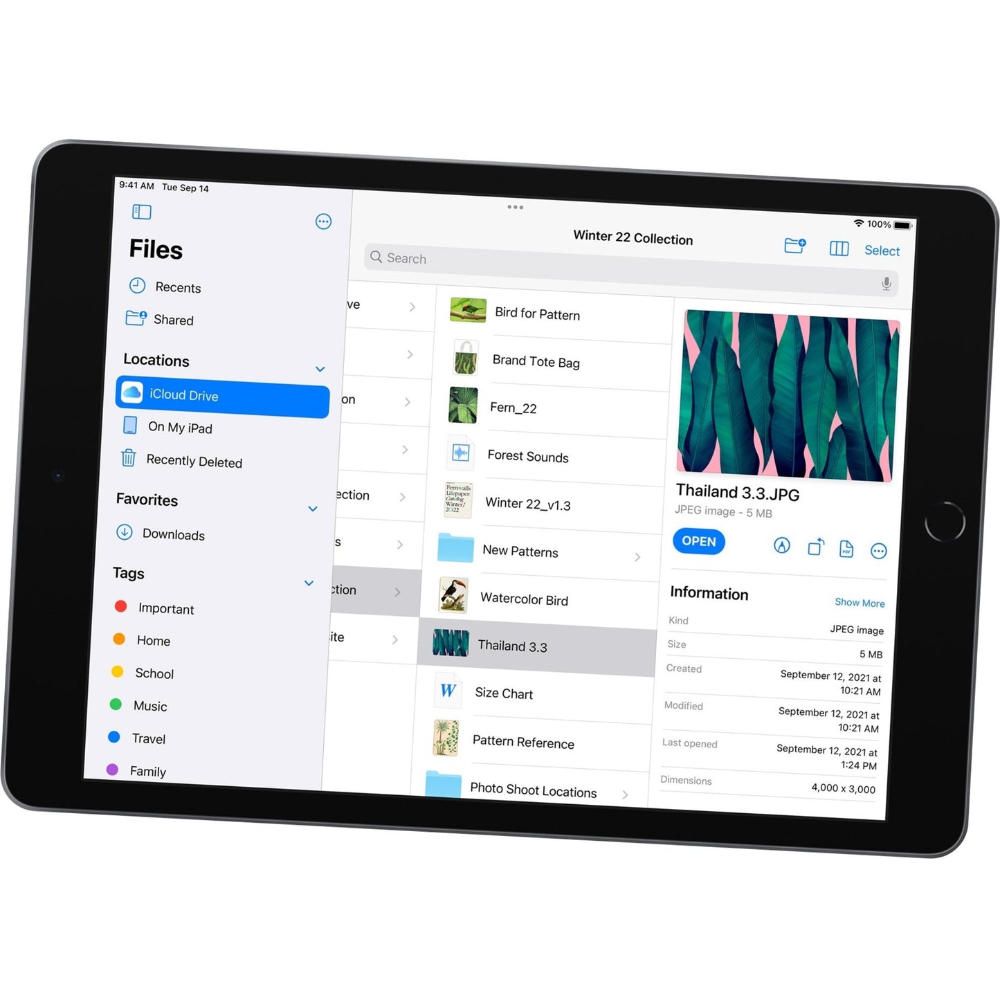 Apple iPad (9th Generation) A2602 Tablet - 10.2" - Hexa-core (Lightning Dual-core (2 Core) 2.65 GHz + Thunder Quad-core (4 Core) 1.80 GHz) - 64 GB Storage - iPadOS 15 - Space Gray