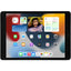 Apple iPad (9th Generation) A2603 Tablet - 10.2