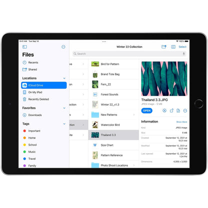 Apple iPad (9th Generation) A2603 Tablet - 10.2" - Hexa-core (Lightning Dual-core (2 Core) 2.65 GHz + Thunder Quad-core (4 Core) 1.80 GHz) - 64 GB Storage - iPadOS 15 - 4G - Silver