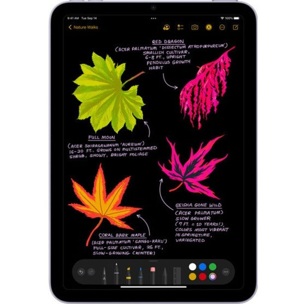 Apple Demo iPad mini (6th Generation) Tablet - 8.3" - Hexa-core (A15 Bionic Dual-core (2 Core) 2.93 GHz Quad-core (4 Core)) - 4 GB RAM - 64 GB Storage - iPadOS 15 - Purple