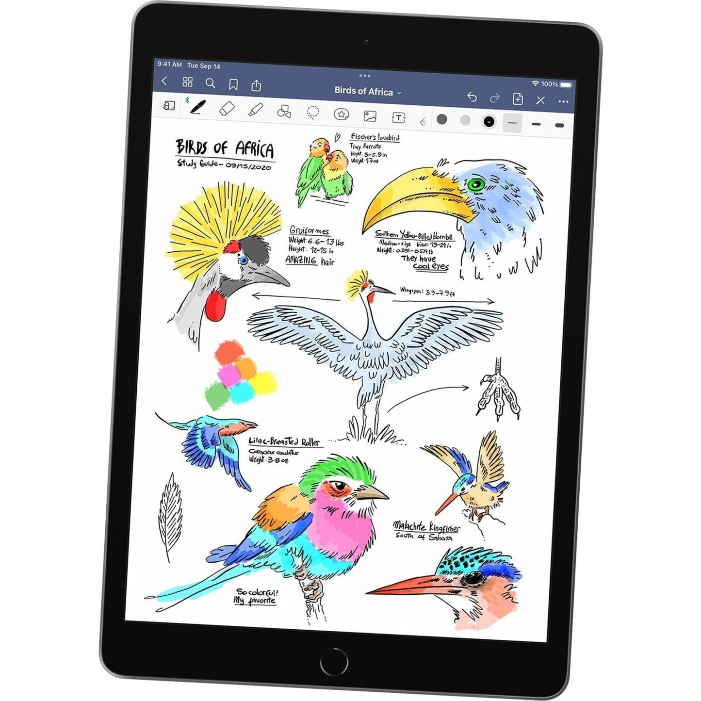 Apple Demo iPad (9th Generation) Tablet - 10.2" - Hexa-core (Lightning Dual-core (2 Core) 2.65 GHz + Thunder Quad-core (4 Core) 1.80 GHz) - 3 GB RAM - 64 GB Storage - iPadOS 15 - Space Gray