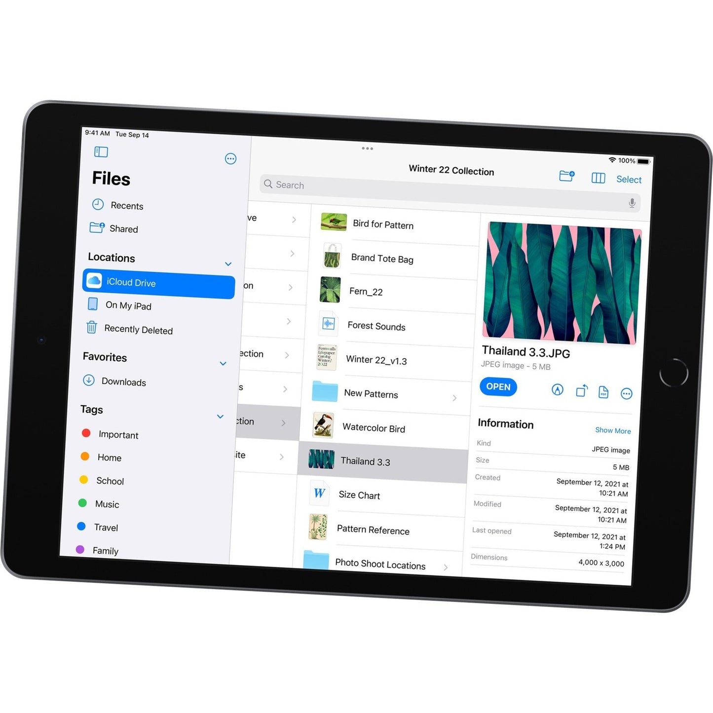 Apple Demo iPad (9th Generation) Tablet - 10.2" - Hexa-core (Lightning Dual-core (2 Core) 2.65 GHz + Thunder Quad-core (4 Core) 1.80 GHz) - 3 GB RAM - 64 GB Storage - iPadOS 15 - Space Gray