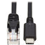 Tripp Lite USB-C to RJ45 Serial Rollover Cable (M/M) Cisco Compatible 250 Kbps 6 ft. (1.8 m)