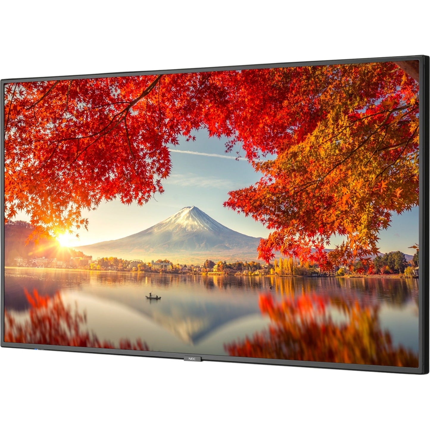 NEC Display MA551-IR Digital Signage Display