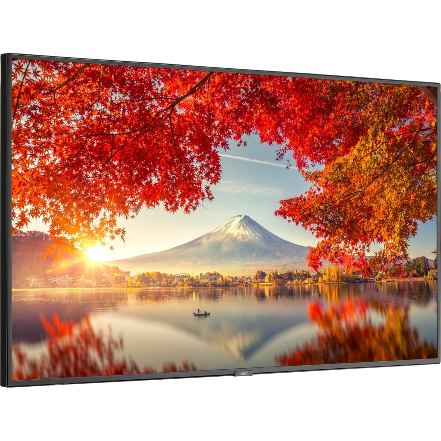 NEC Display MA551-IR Digital Signage Display