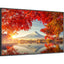 NEC Display MA551-IR Digital Signage Display