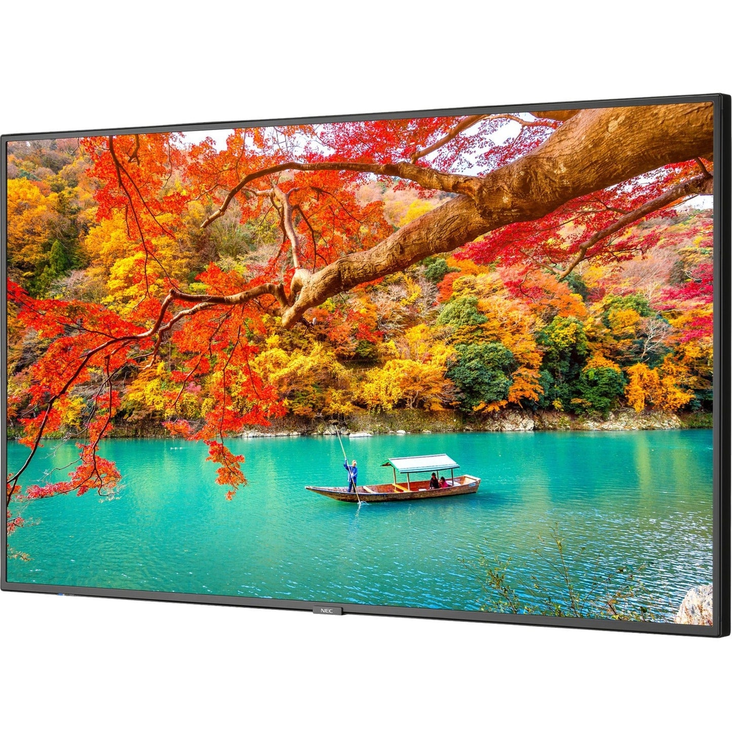 NEC Display MultiSync MA431-IR Digital Signage Display