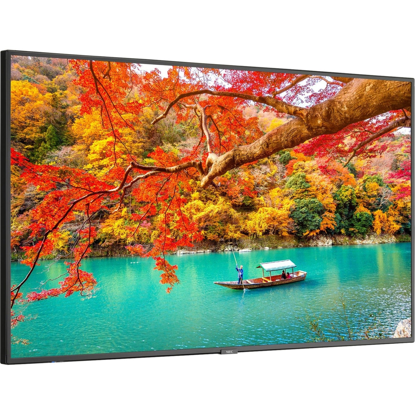 NEC Display MultiSync MA431-IR Digital Signage Display