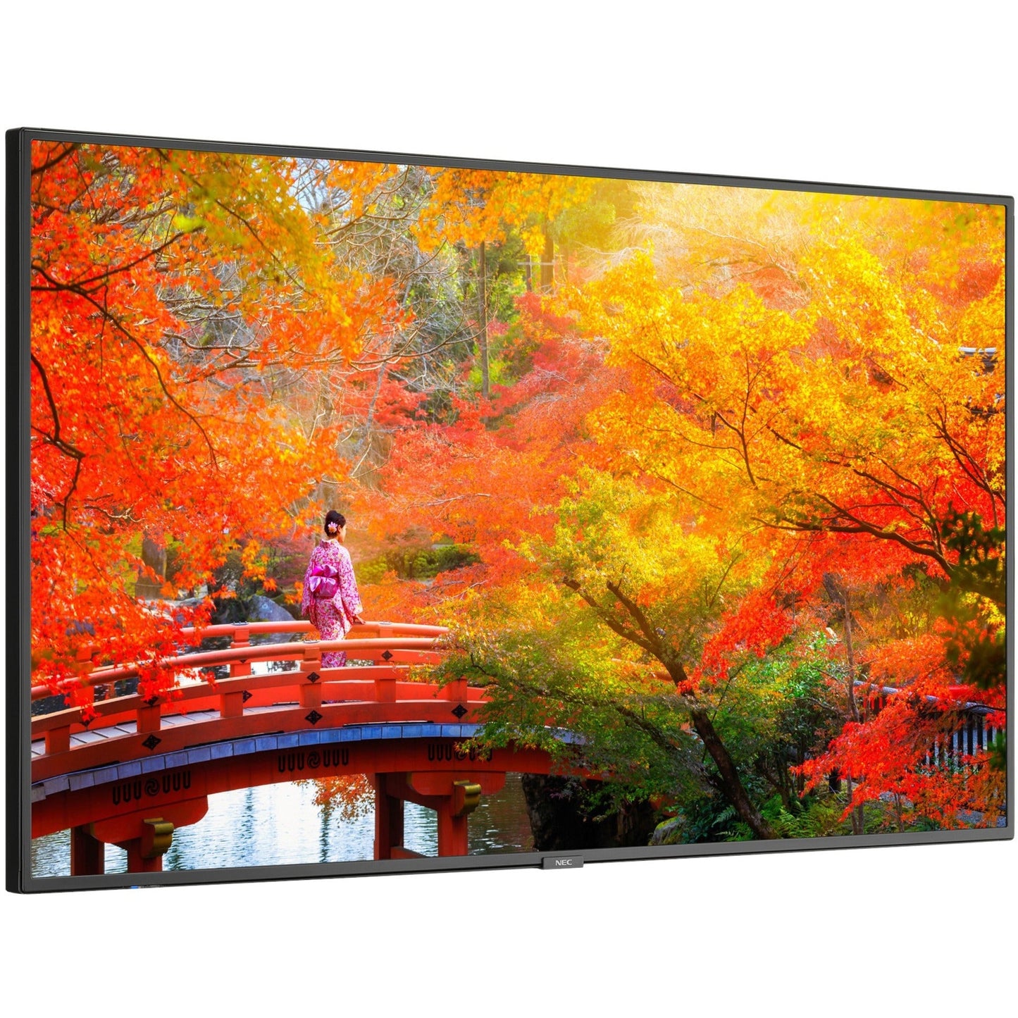 Sharp NEC Display MA491-IR Digital Signage Display