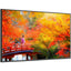 Sharp NEC Display MA491-IR Digital Signage Display