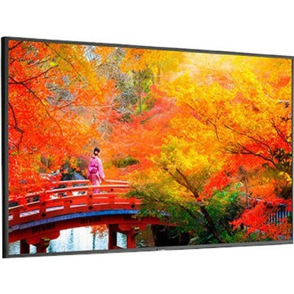 Sharp NEC Display Multisync MA491-PT Digital Signage Display