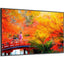 Sharp NEC Display Multisync MA491-PT Digital Signage Display