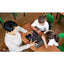 Asus Chromebook Flip CR1 CR1100FKA-YZ182T 11.6