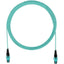 Panduit QuickNet Interconnect Cable Assembly