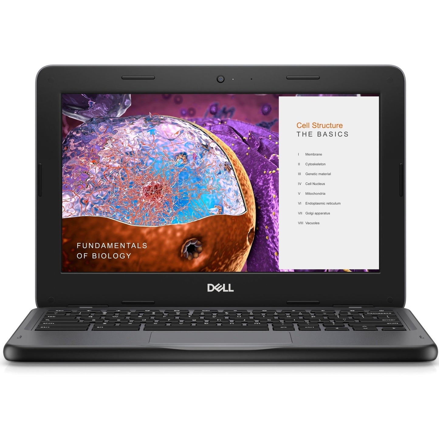 Dell Education Chromebook 3000 3110 11.6" Touchscreen Convertible 2 in 1 Chromebook - HD - 1366 x 768 - Intel Celeron N4500 Dual-core (2 Core) 1.10 GHz - 4 GB Total RAM - 32 GB Flash Memory