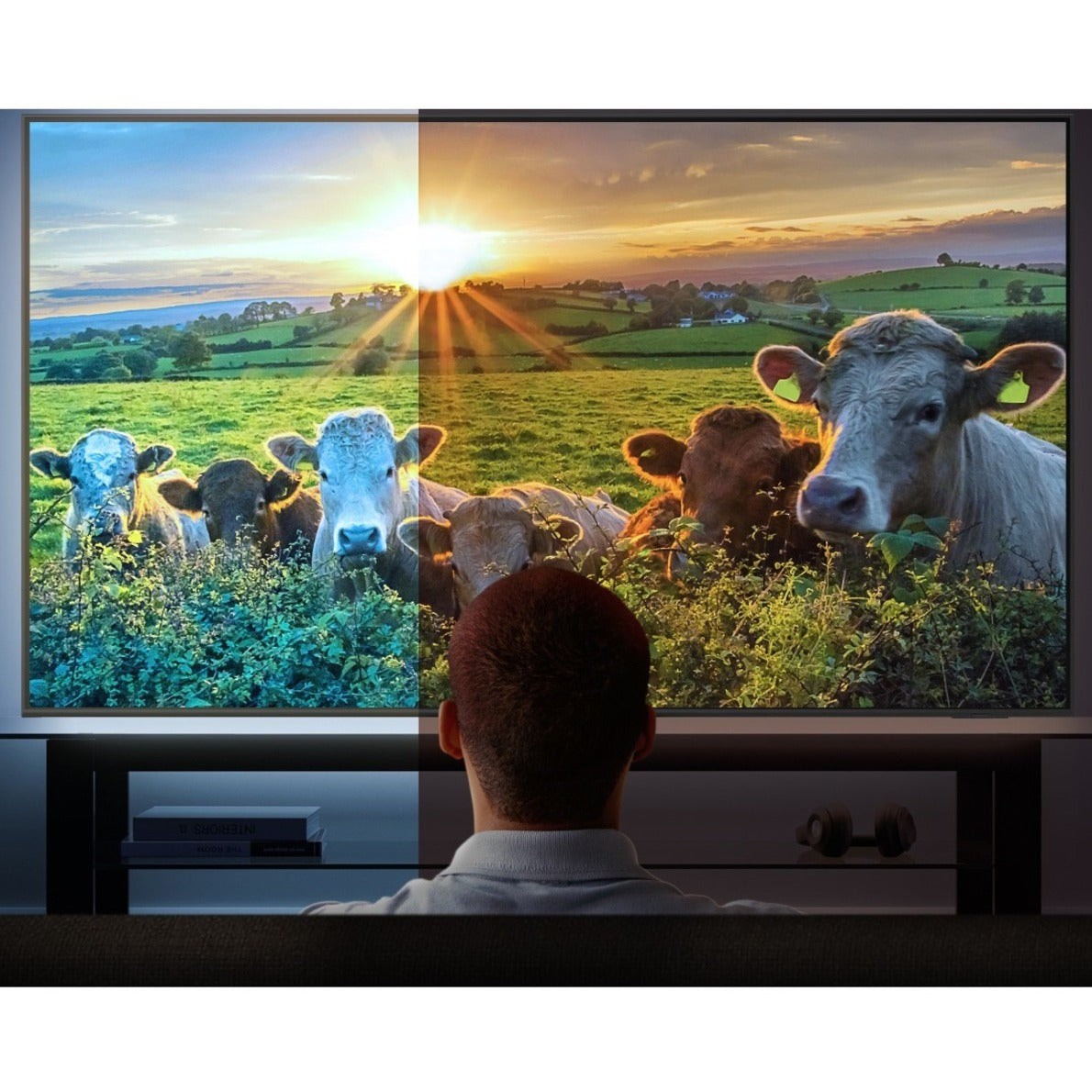 Samsung QN90B QN55QN90BAF 54.6" Smart LED-LCD TV - 4K UHDTV - Titan Black Sand Black