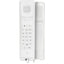 2N IP Handset