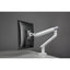 Amer HYDRA1A Mounting Arm for Monitor Curved Screen Display Display Screen - Textured White Space Gray