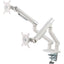 Amer Mounts HYDRA2A Desk Mount for Display Screen Curved Screen Display Monitor - Space Gray Textured White