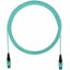 Panduit QuickNet Fiber Optic Network Cable