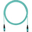 PanNet Interconnect Fiber Optic Network Cable