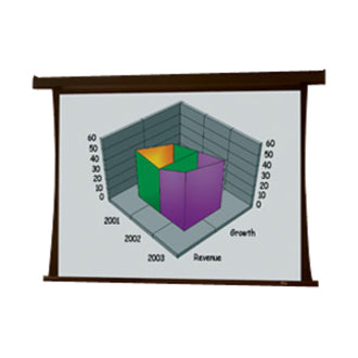 Draper Premier Electrol Projection Screen