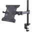 StarTech.com Laptop Desk Mount Monitor and Laptop Arm Mount Displays up to 34