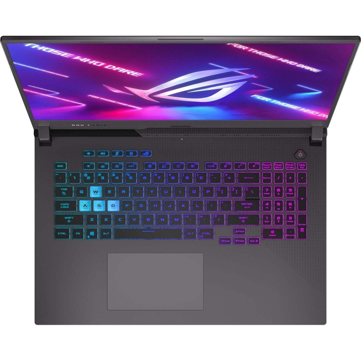 Asus ROG Strix G17 G713 G713RW-IS96 17.3" Gaming Notebook - WQHD - 2560 x 1440 - AMD Ryzen 9 6900HX Octa-core (8 Core) 3.30 GHz - 32 GB Total RAM - 1 TB SSD - Eclipse Gray