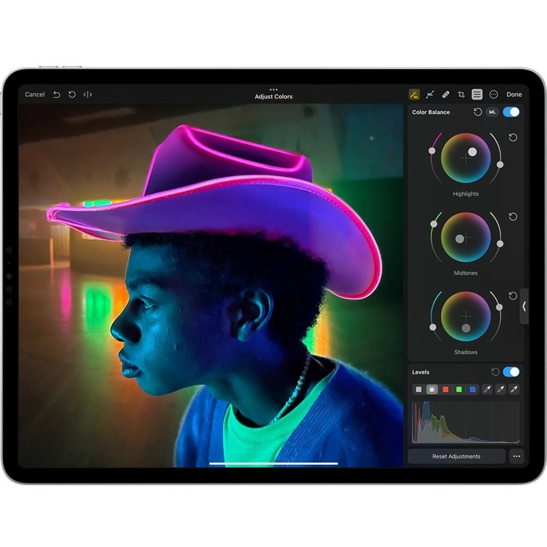 Apple iPad Pro (4th Generation) A2759 Tablet - 11" - Octa-core) - 16 GB RAM - 1 TB Storage - iPadOS 16 - Silver