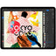 Apple iPad Pro (6th generation) A2764 Tablet - 12.9