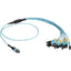 Black Box MTP OM3 Fiber Optic Harness Cable - Plenum 12-Strand