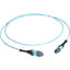 Black Box MTP OM3 Fiber Optic Trunk Cable - Plenum 12-Strand Type A