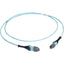 Black Box MTP OM3 Fiber Optic Trunk Cable - Plenum 12-Strand Type A