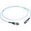 Black Box MTP OM3 Fiber Optic Trunk Cable - Plenum 24-Strand Type A