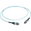 Black Box MTP OM3 Fiber Optic Trunk Cable - Plenum 12-Strand Type C