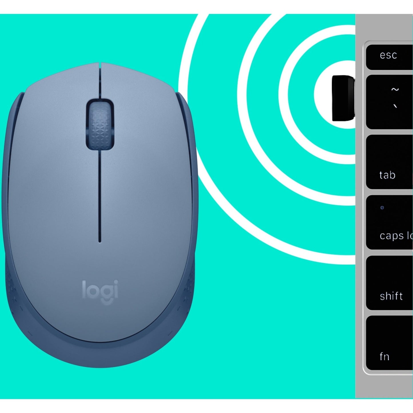 Logitech M170 Mouse