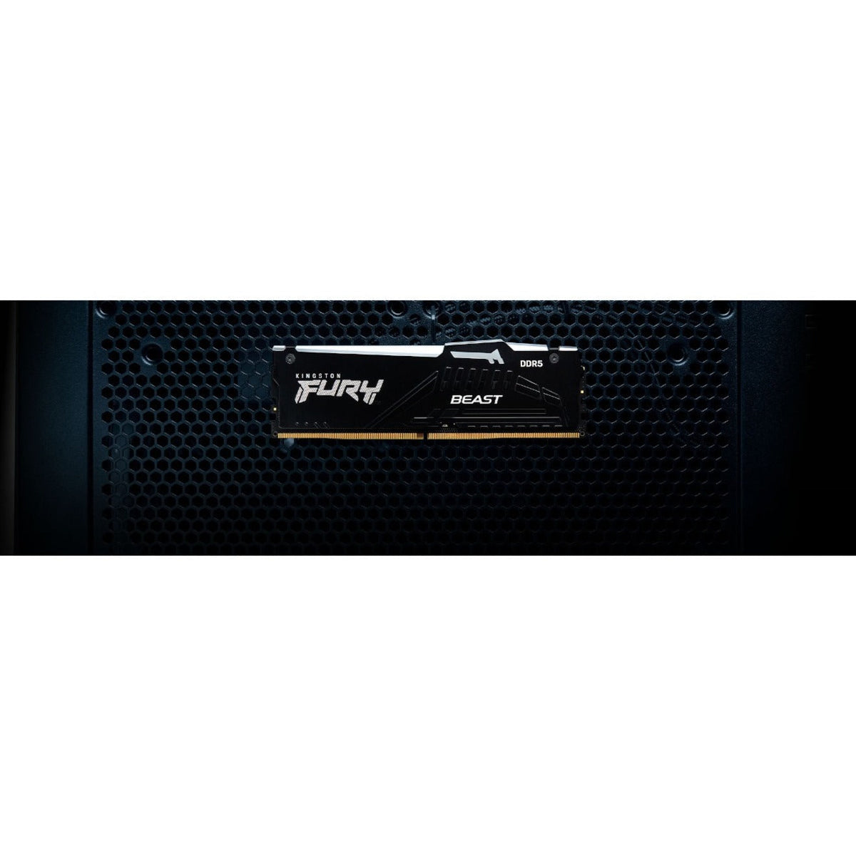 Kingston FURY Beast 8GB DDR5 SDRAM Memory Module