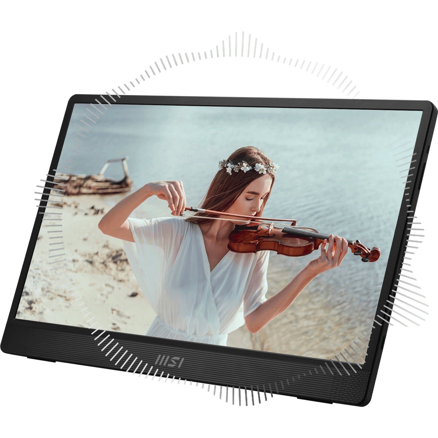 MSI Pro MP161 15.6" Full HD LCD Monitor - 16:9