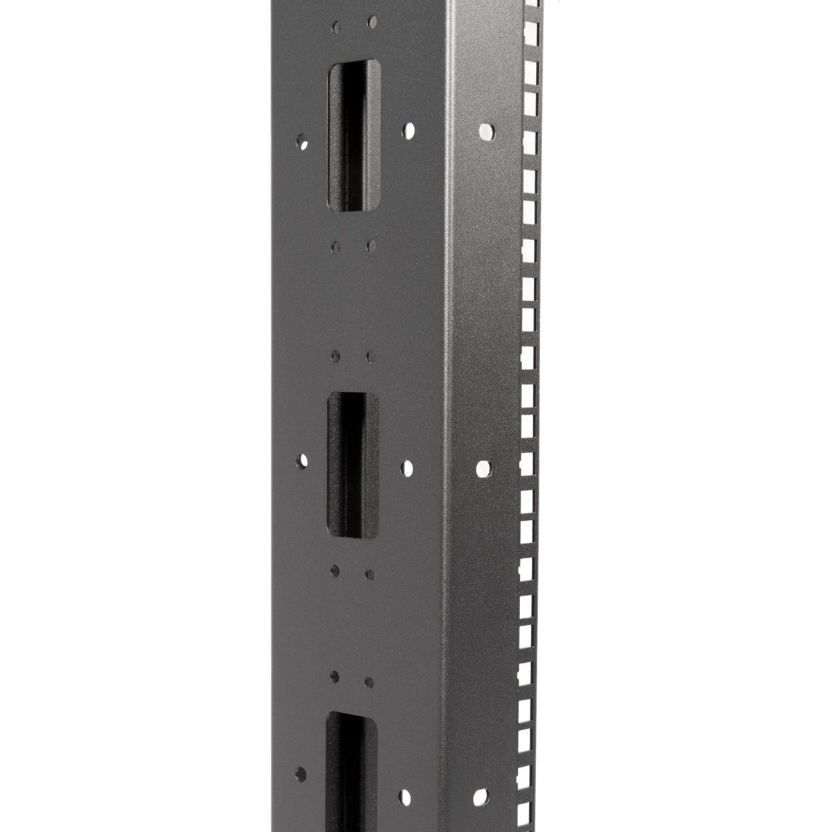SolidRack 2-Post 42U Server Rack with Casters
