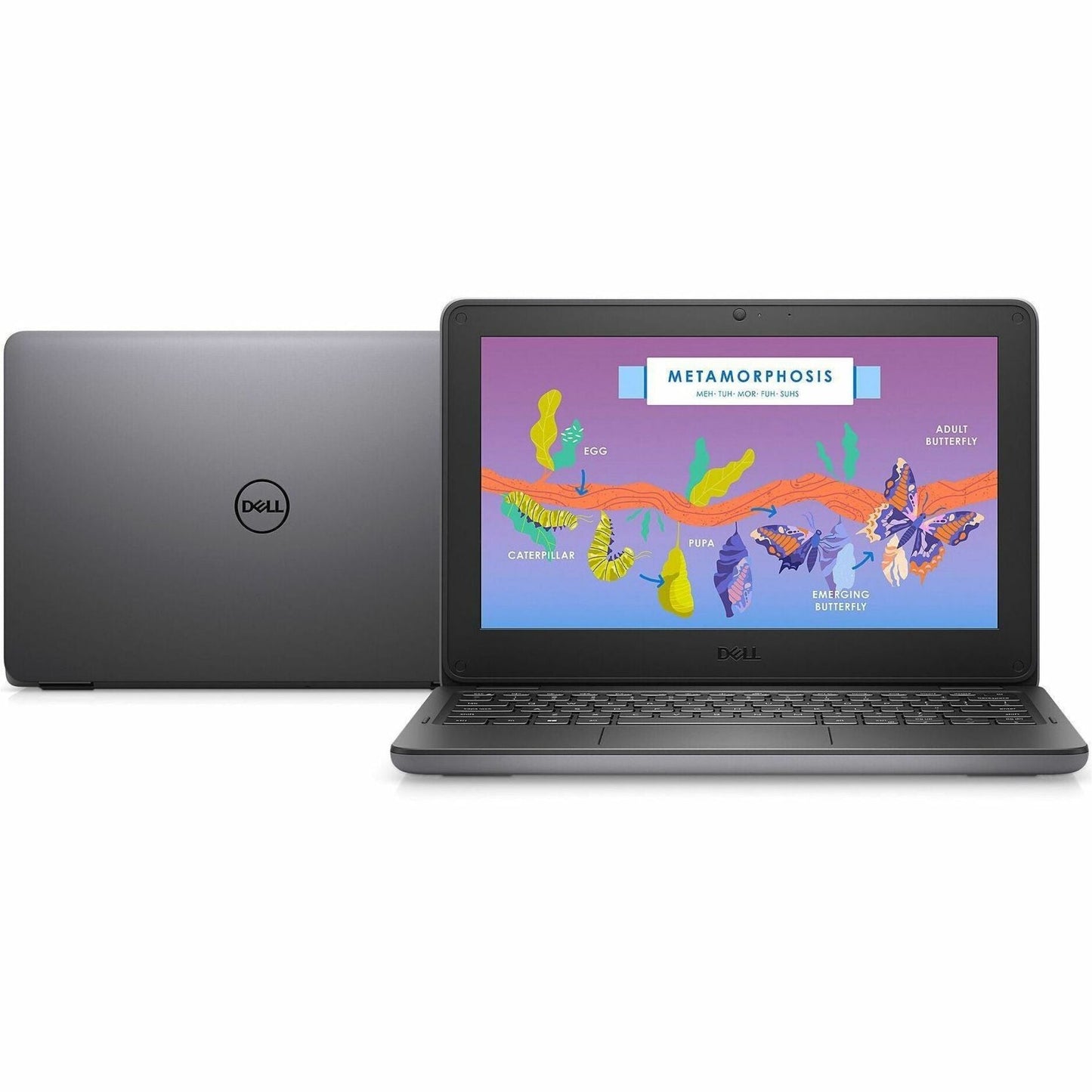 Dell Latitude 3000 3140 11.6" Touchscreen Convertible 2 in 1 Notebook - HD - 1366 x 768 - Intel N200 Quad-core (4 Core) - 4 GB Total RAM - 4 GB On-board Memory - 128 GB SSD