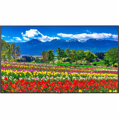 Sharp NEC Display 75" Ultra High Definition Professional Display