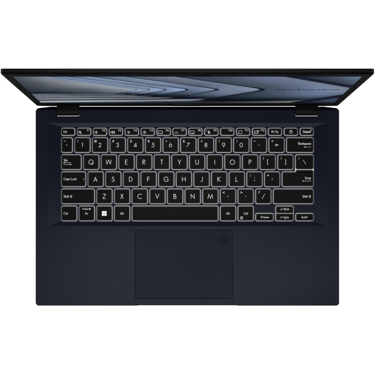 Asus ExpertBook B1402 B1402CBA-XS74 14" Notebook - Full HD - 1920 x 1080 - Intel Core i7 12th Gen i7-1255U Deca-core (10 Core) 1.70 GHz - 16 GB Total RAM - 8 GB On-board Memory - 512 GB SSD - Star Black