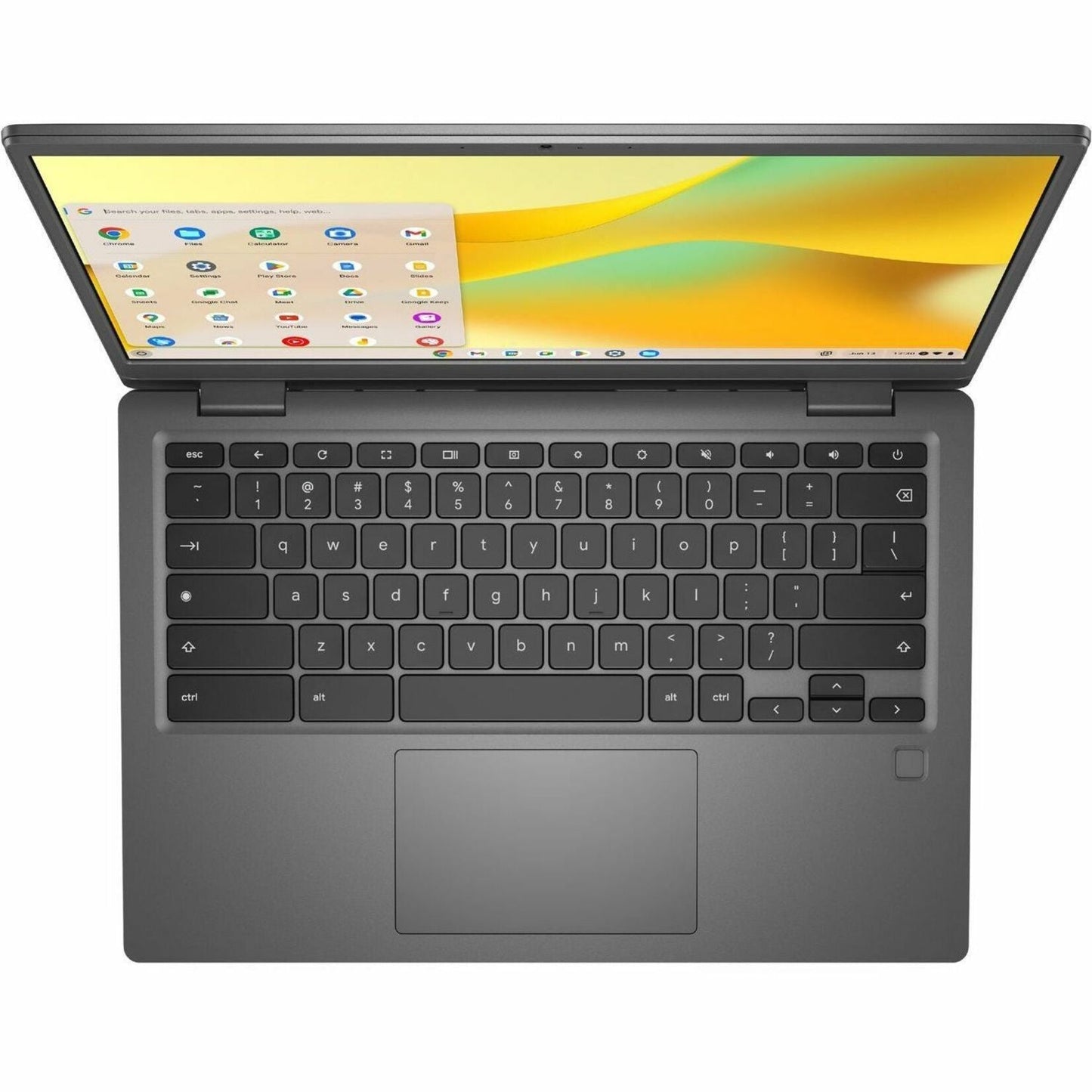 Dell Latitude 3445 14" Chromebook - HD+ - 1366 x 768 - AMD Athlon Silver 7120C Dual-core (2 Core) 2.40 GHz - 4 GB Total RAM - 4 GB On-board Memory - 32 GB Flash Memory - Space Gray