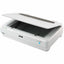 Epson Expression 13000XL Large Format Flatbed/Film Scanner - 2400 dpi Optical