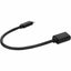 AddOn 1ft USB-C Male to USB 3.0 (A) Female Black Cable